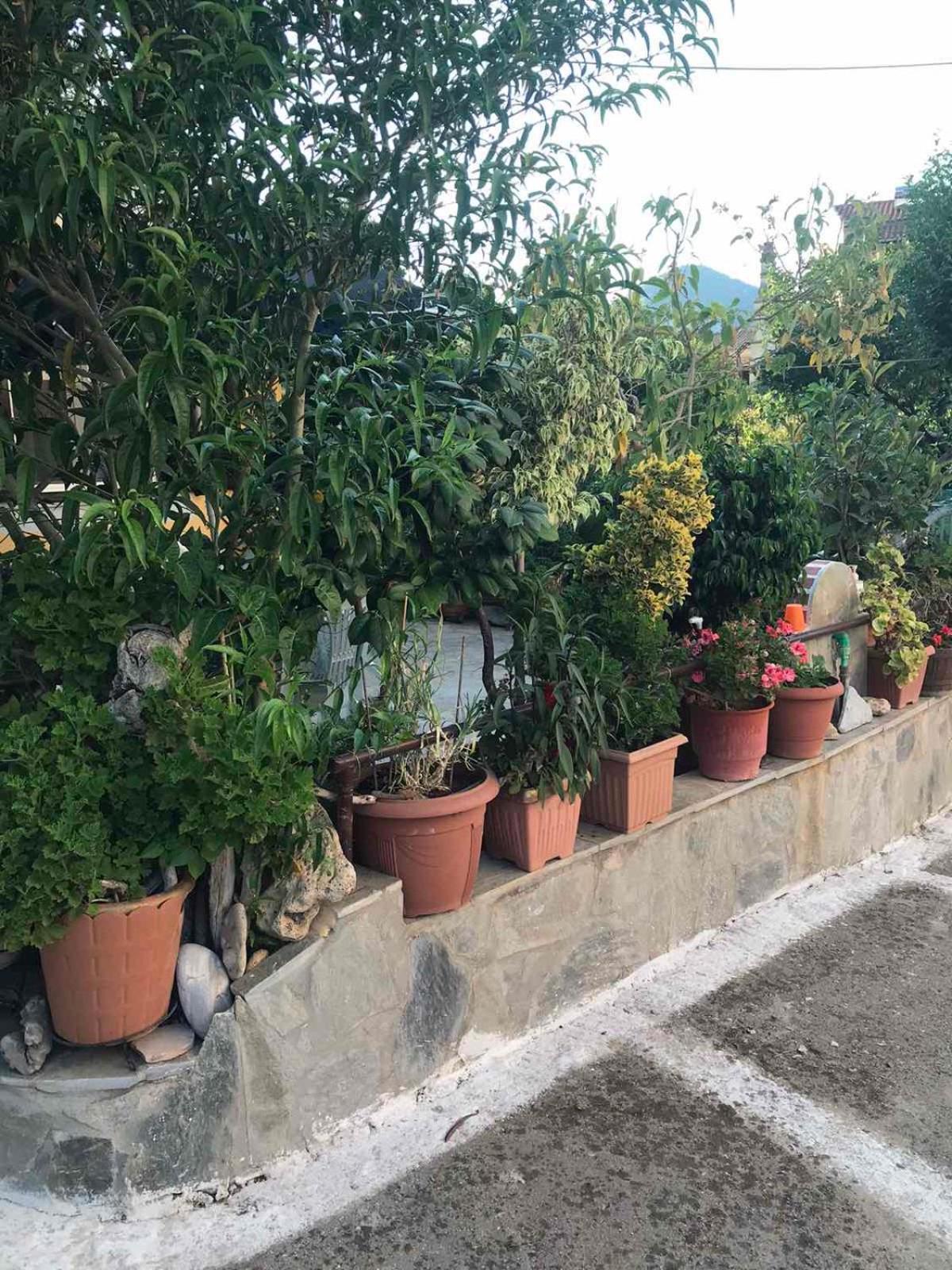 Mitsani Hébergement de vacances